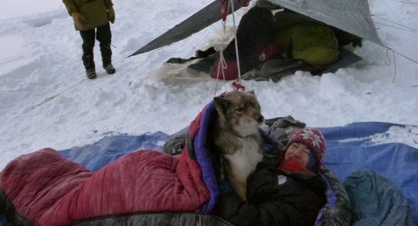 winter camping with sled dogs